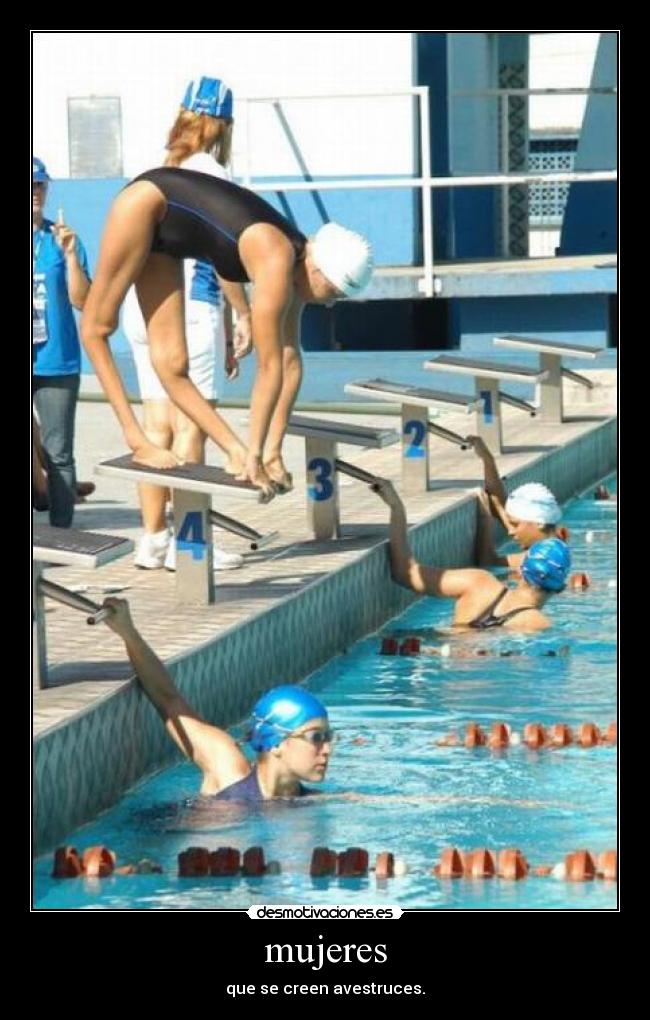 carteles gente avestrus pollo desmotivaciones