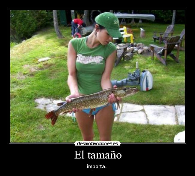 El tamaño - 