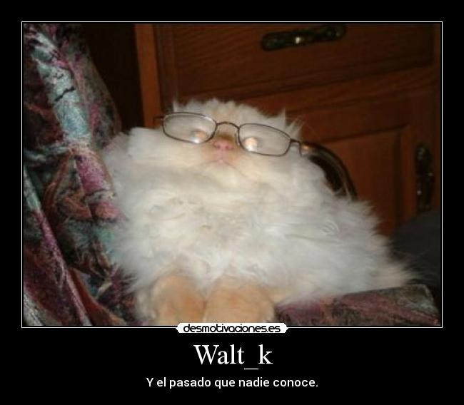 carteles walt_k nerd imagen masterjay desmotivaciones