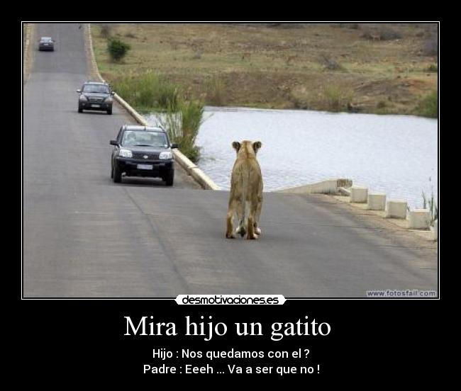 Mira hijo un gatito - Hijo : Nos quedamos con el ?
Padre : Eeeh ... Va a ser que no !