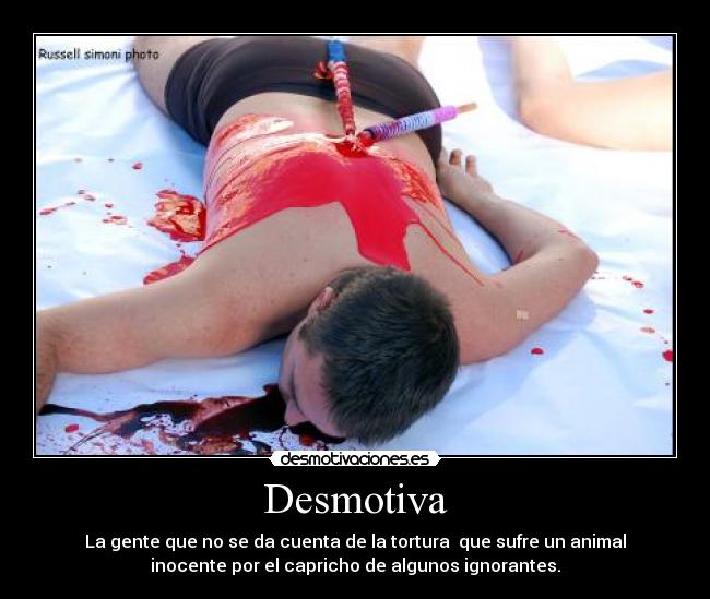 Desmotiva - La gente que no se da cuenta de la tortura que sufre un animal
inocente por el capricho de algunos ignorantes.