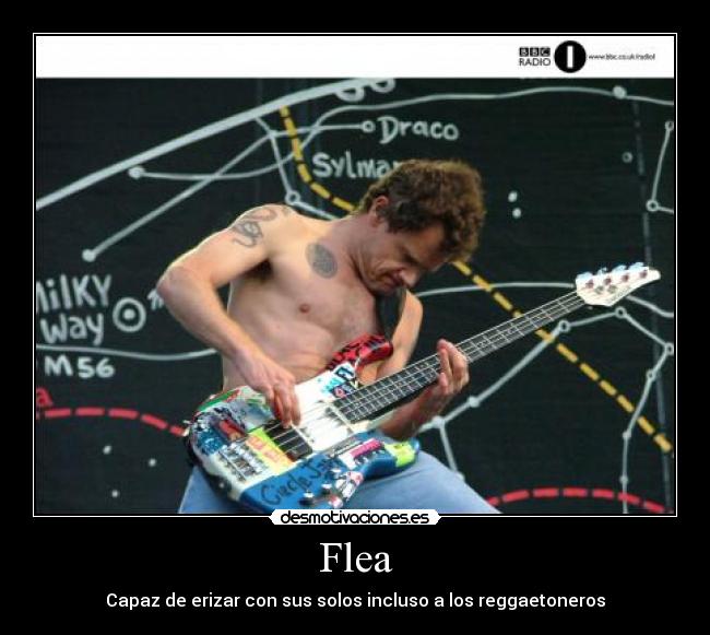Flea -