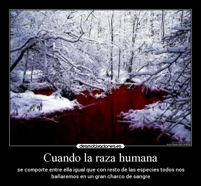 carteles xuky desmotivaciones