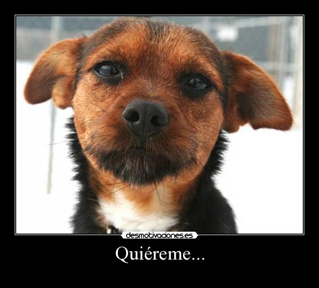 Quiéreme... -