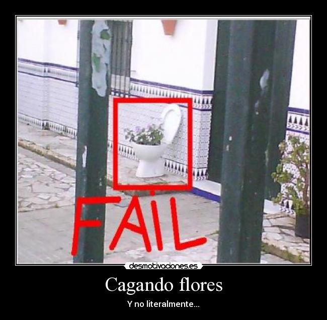 Cagando flores - 
