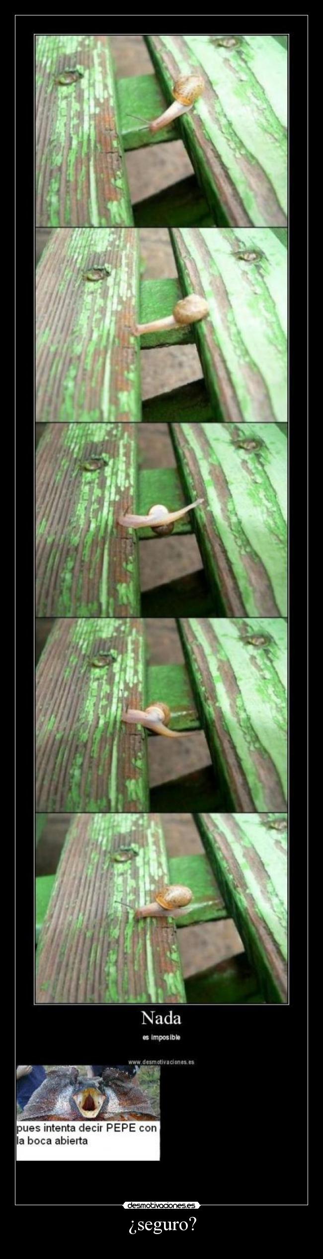 carteles seguro desmotivaciones