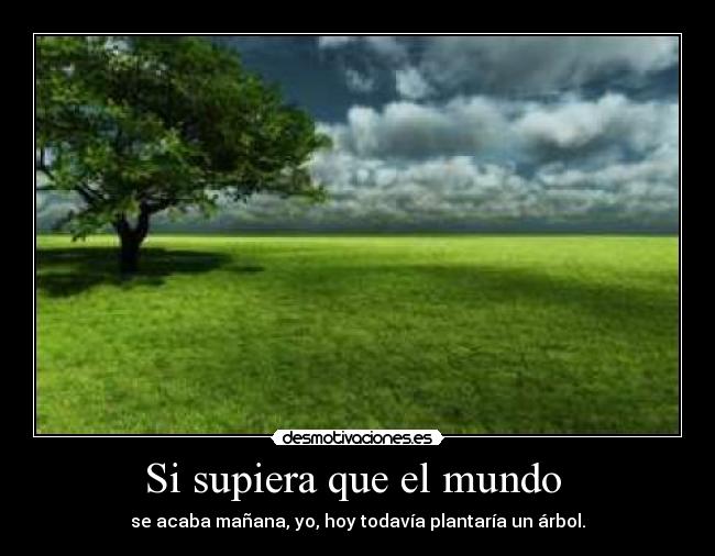 Si supiera que el mundo - se acaba mañana, yo, hoy todavía plantaría un árbol.