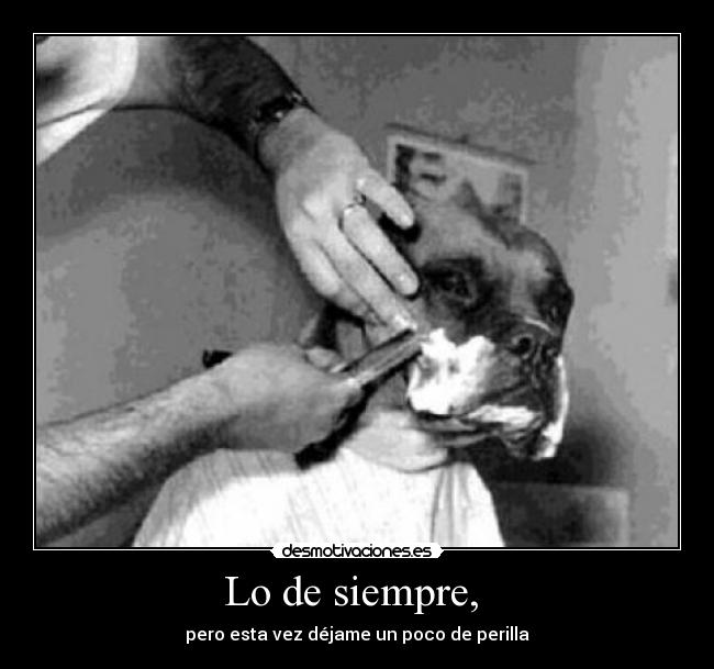 Lo de siempre, - pero esta vez déjame un poco de perilla