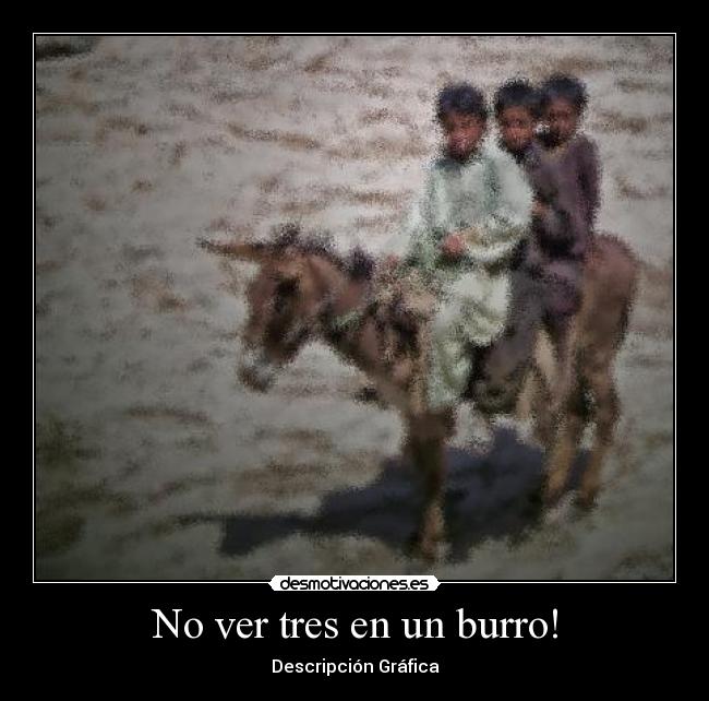 No ver tres en un burro! - 