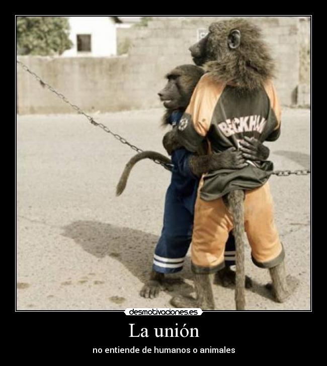 La unión -