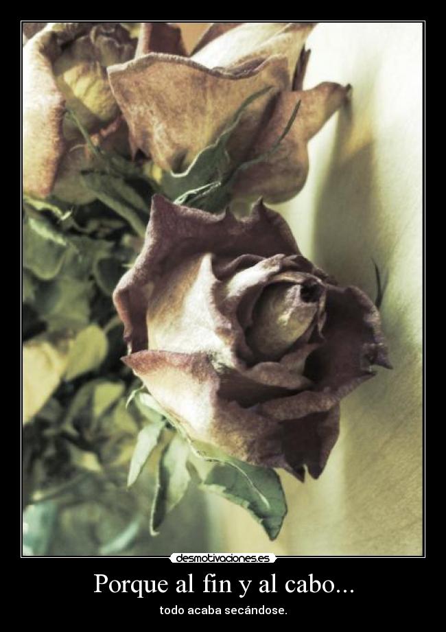 carteles rosas secas flor porque al fin cabo acabar todo secandose desmotivaciones