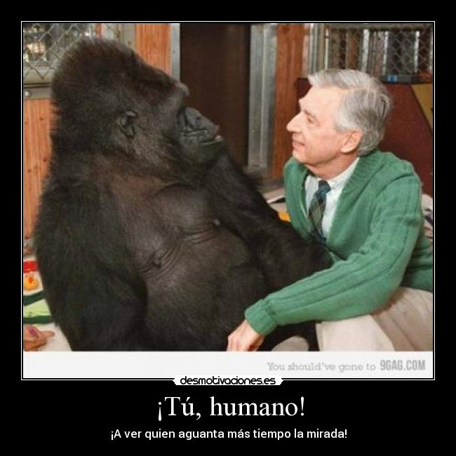 ¡Tú, humano! -