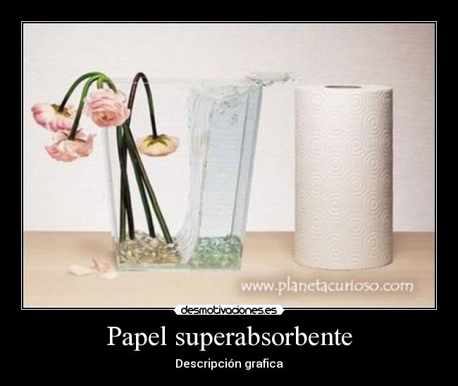 Papel superabsorbente - Descripción grafica