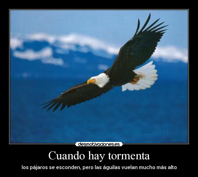 Cuando hay tormenta - los pájaros se esconden, pero las águilas vuelan mucho más alto