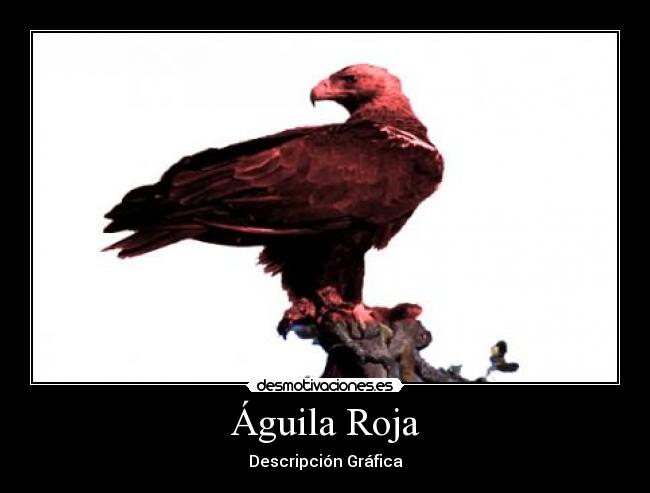 Águila Roja -