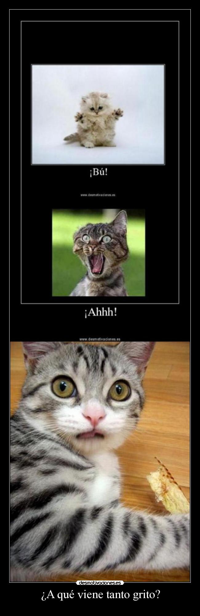 ¿A qué viene tanto grito? -