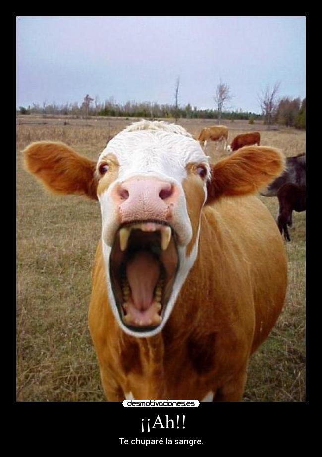 ¡¡Ah!! - 
