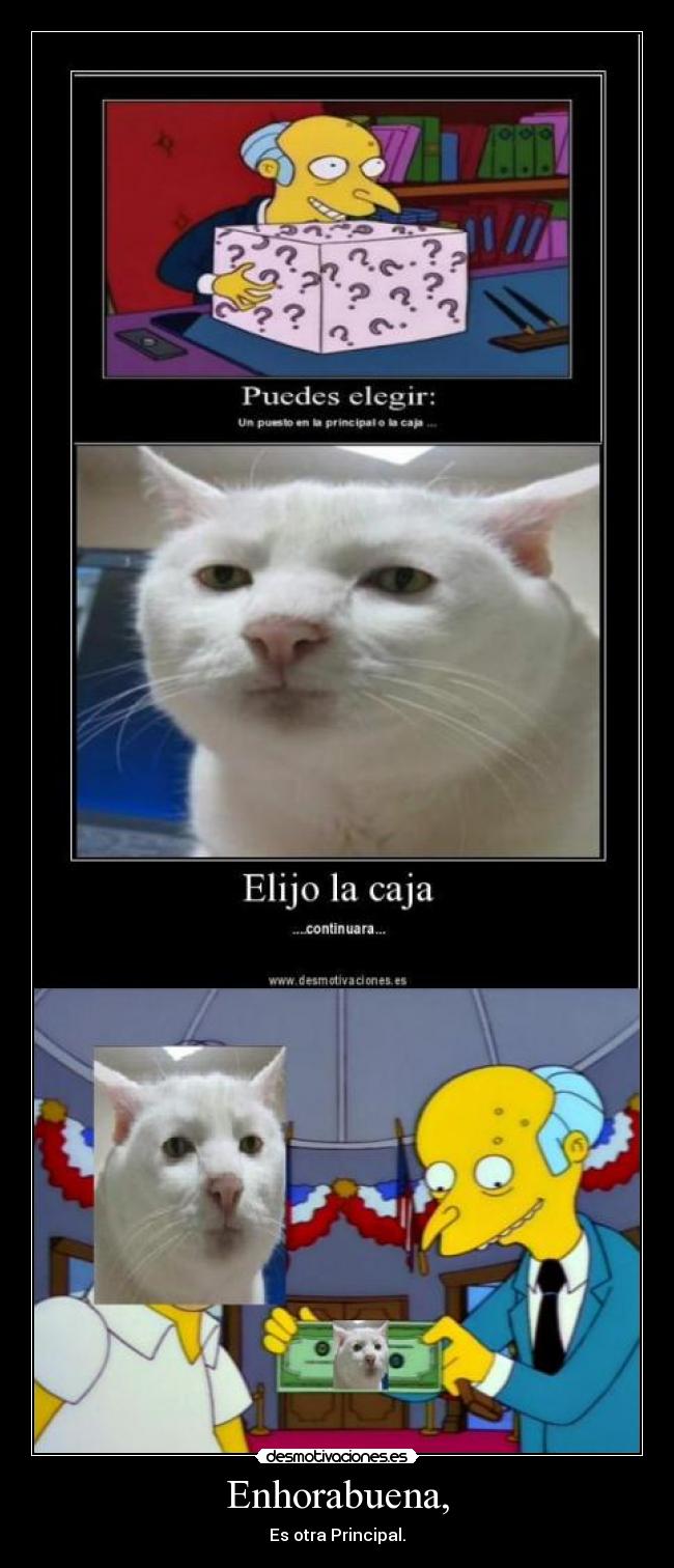 carteles humor desmotivaciones