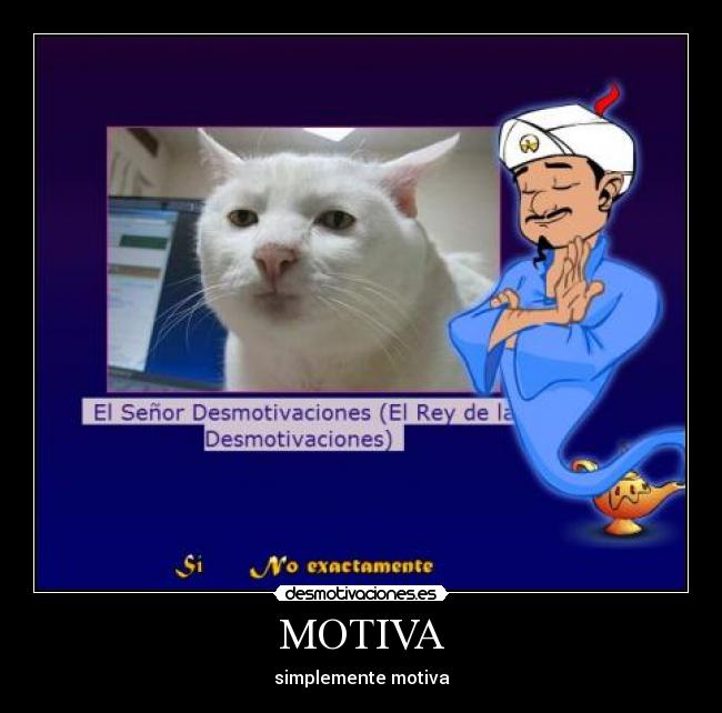 MOTIVA - 