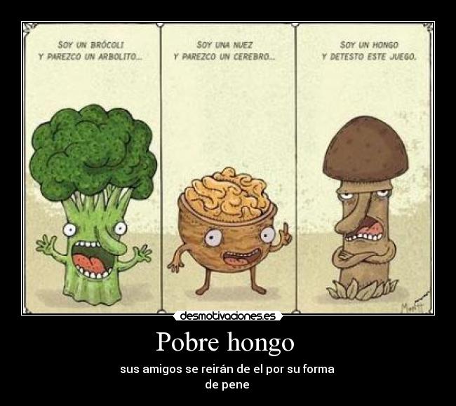 Pobre hongo  - 