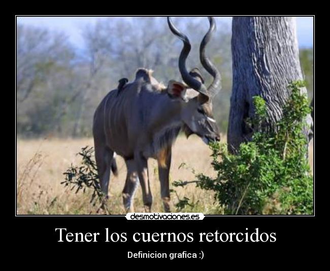 carteles tss desmotivaciones