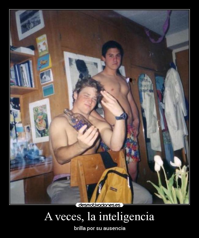 A veces, la inteligencia - 