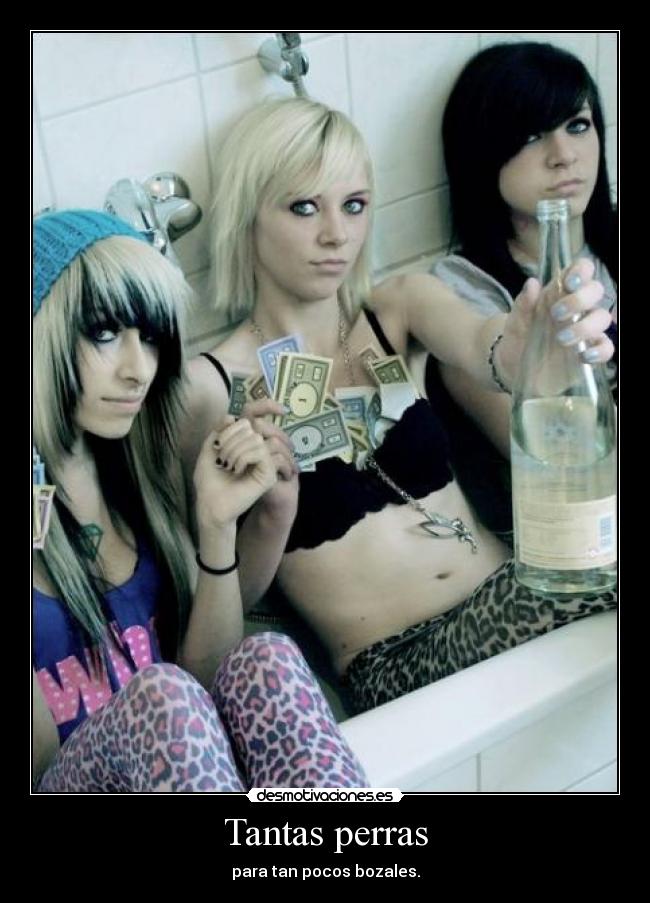 Tantas perras -