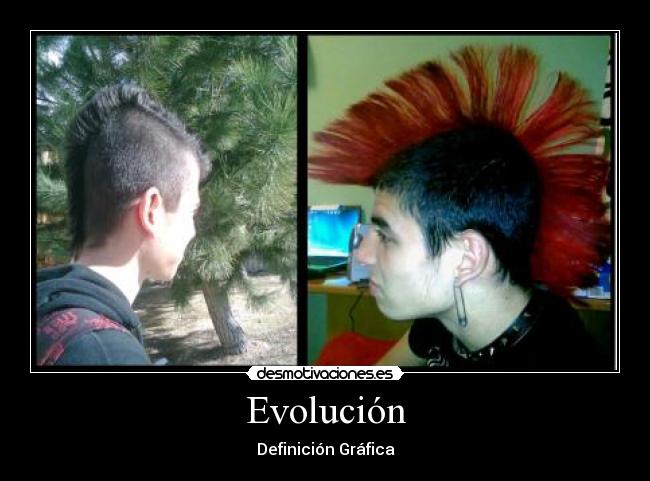 Evolución - 