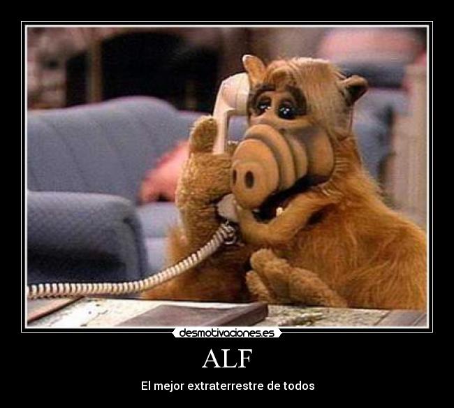ALF -