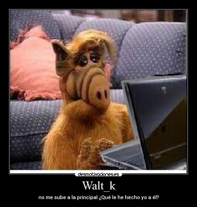 Walt_k -