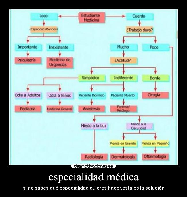 especialidad médica - si no sabes qué especialidad quieres hacer,esta es la solución