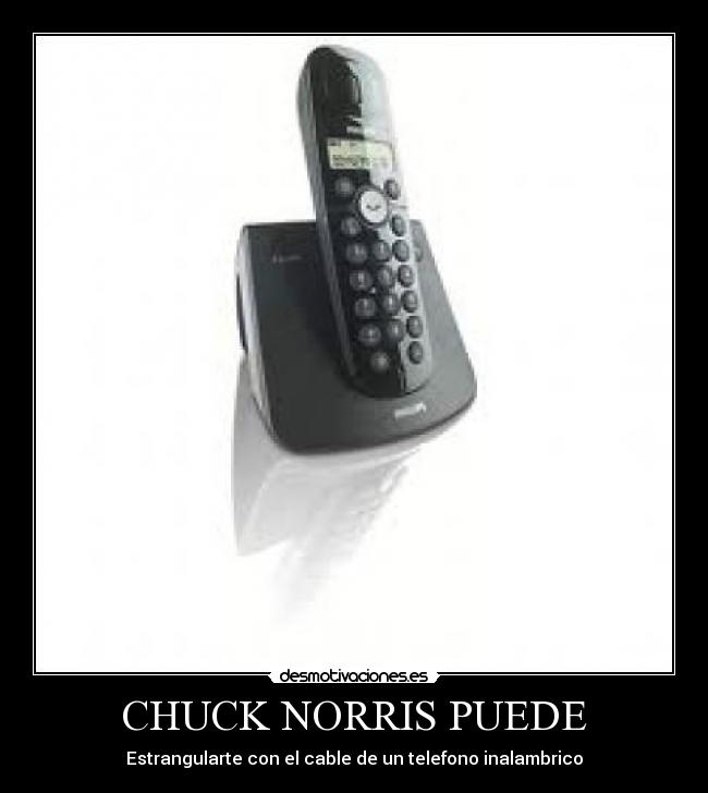 CHUCK NORRIS PUEDE -