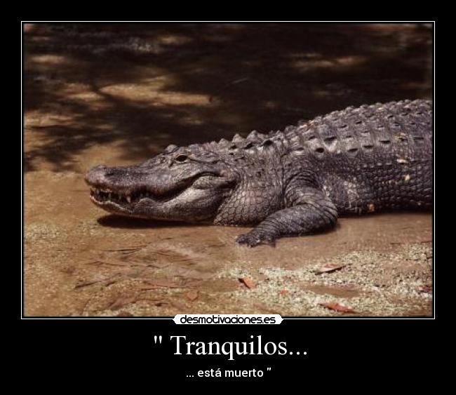 Tranquilos... -