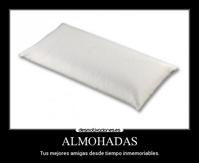 ALMOHADAS - Tus mejores amigas desde tiempo inmemoriables.