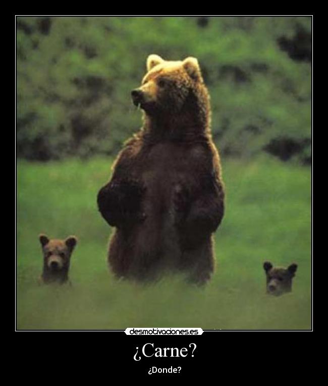 ¿Carne? - ¿Donde?