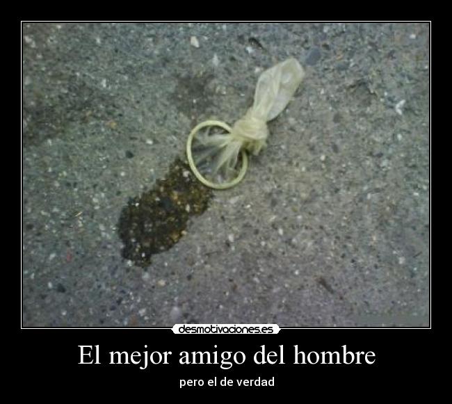 El mejor amigo del hombre - pero el de verdad