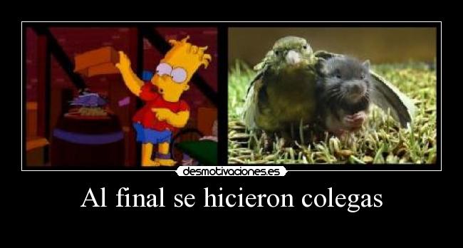 carteles pipas desmotivaciones