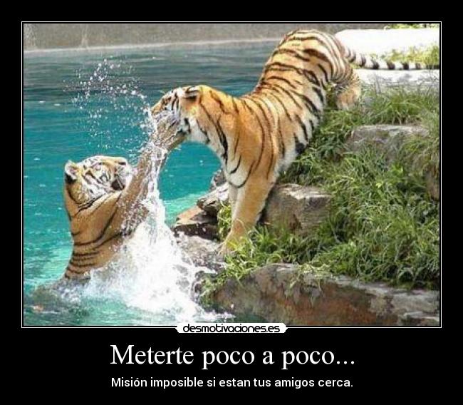 Meterte poco a poco... - 