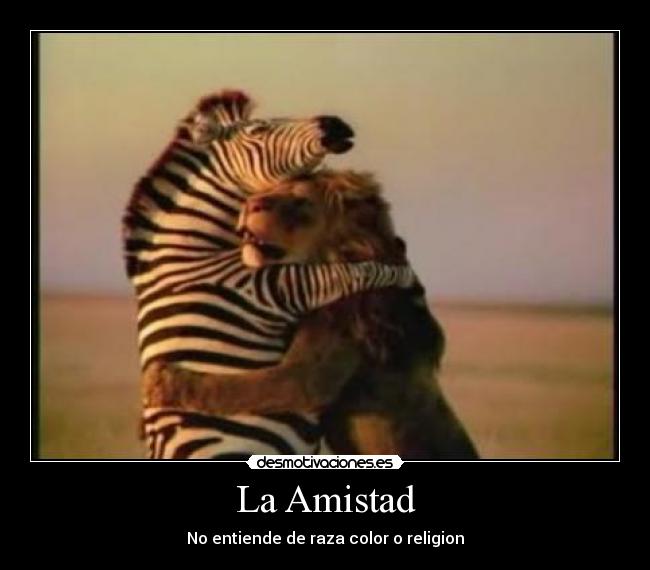 La Amistad - 