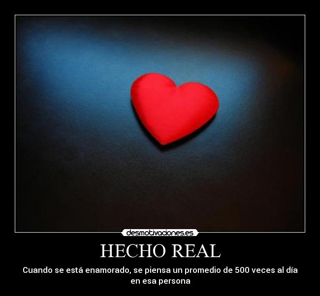 HECHO REAL - 