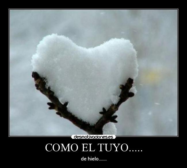 COMO EL TUYO..... - 
