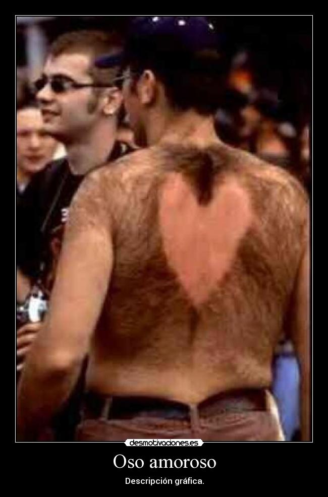 Oso amoroso - Descripción gráfica.
