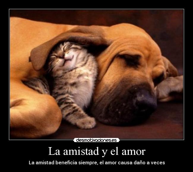 La amistad y el amor - La amistad beneficia siempre, el amor causa daño a veces