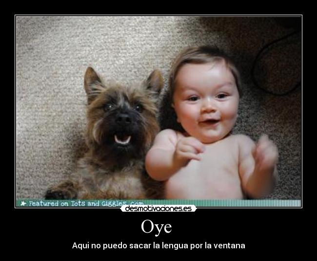 Oye -