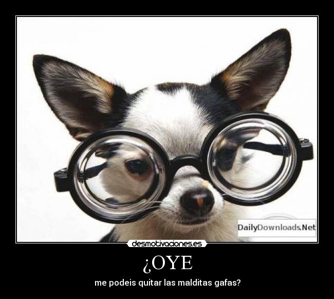 ¿OYE - me podeis quitar las malditas gafas?