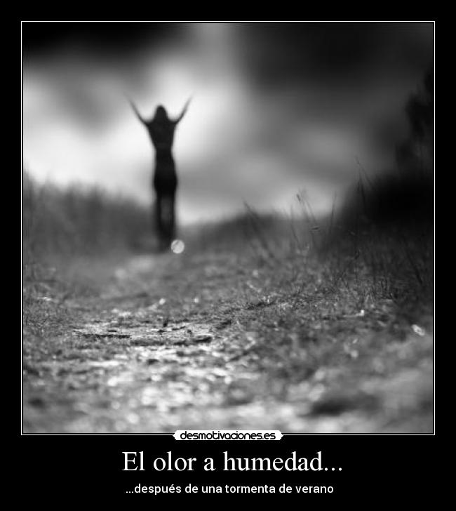 El olor a humedad... - 