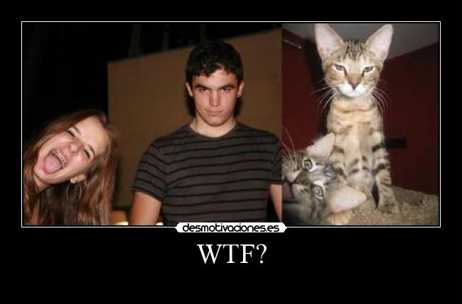 WTF? -