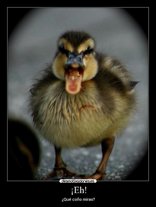 ¡Eh! -