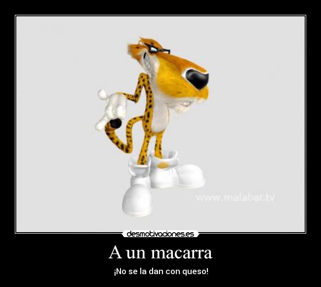 carteles chester chetos desmotivaciones