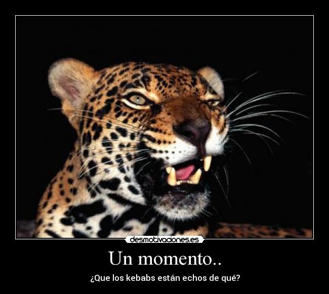 carteles kebabs desmotivaciones